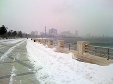 "Yeni" dələduzluq metodu oğrunun işinə yaramadı