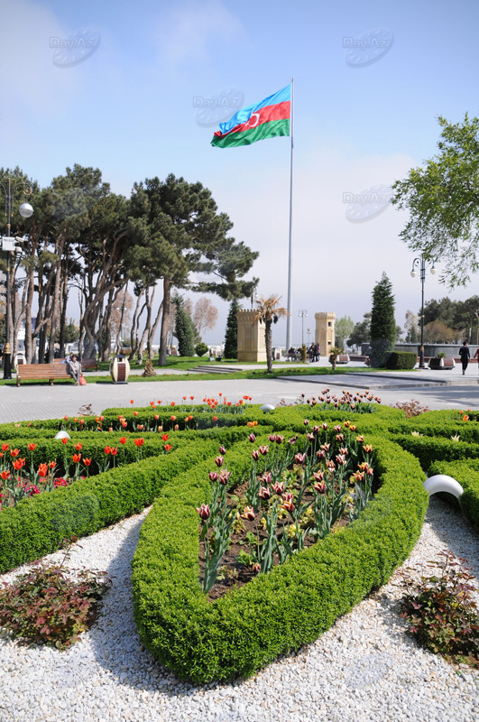 Gül-çiçəkli Bakı - FOTOSESSİYA