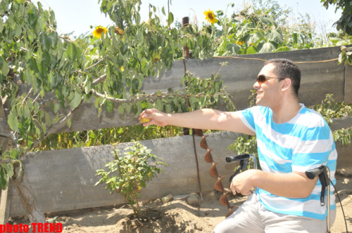 Samuray papağı, meyvəli bağ və ya müğənni Murad Sadıxın rəngarəng yay istirahəti - FOTOSESSİYA