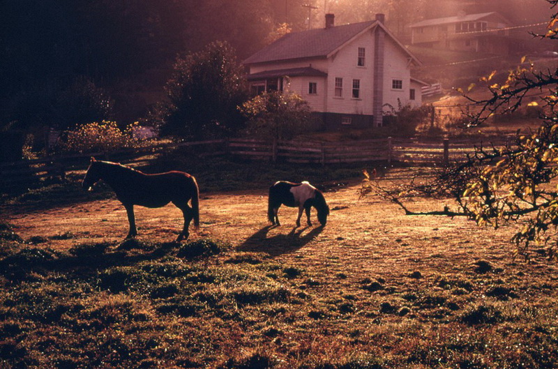 Amerika 1970-ci illərdə - FOTOSESSİYA