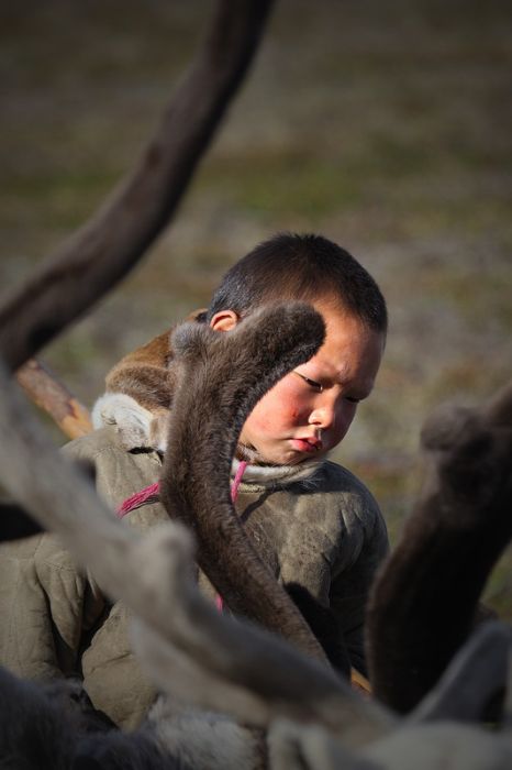Maral və maralları saxlayanlar - FOTOSESSİYA