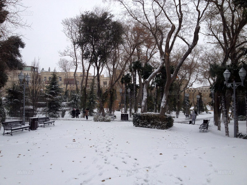 Bakıya güclü qar yağır - YENİLƏNİB - VİDEO - FOTOSESSİYA