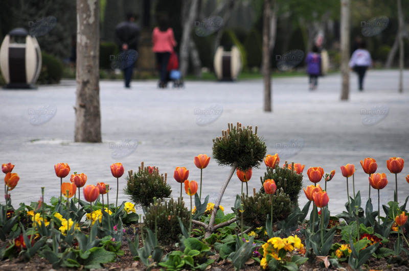 Gül-çiçəkli Bakı - FOTOSESSİYA
