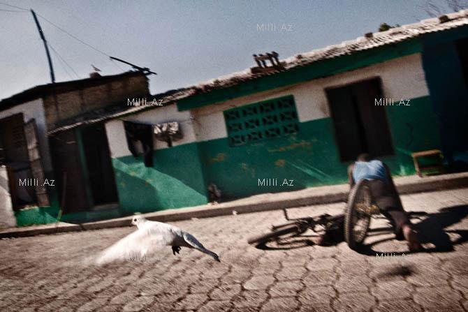Haiti bandaları - FOTO