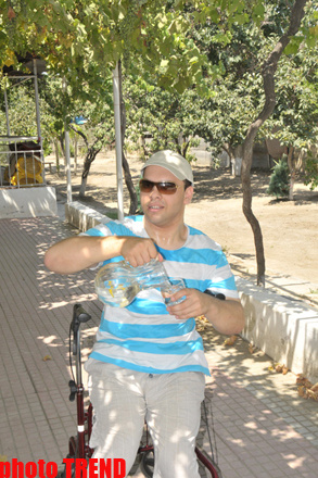 Samuray papağı, meyvəli bağ və ya müğənni Murad Sadıxın rəngarəng yay istirahəti - FOTOSESSİYA