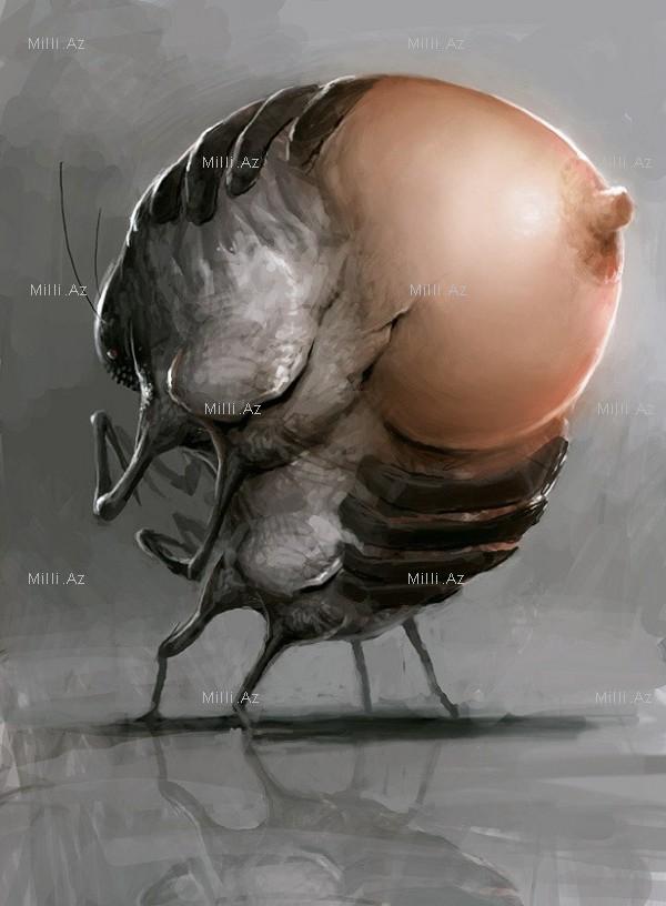 Orijinal personajlar aləmi - FOTO