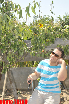 Samuray papağı, meyvəli bağ və ya müğənni Murad Sadıxın rəngarəng yay istirahəti - FOTOSESSİYA