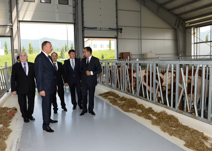 Prezident İlham Əliyev: "Biz bütün dövrlərdə, müstəqilliyin son 20 ili ərzində inamla irəliyə gedirik, öz gücümüzü artırırıq, iqtisadiyyatımızı gücləndiririk" - YENİLƏNİB - FOTO