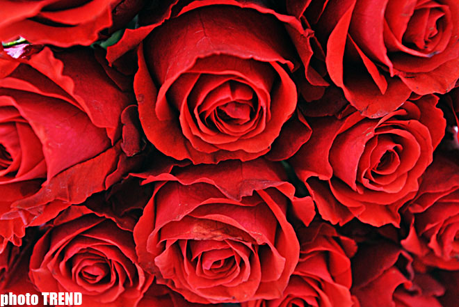 Xanımlar, bayramınız mübarək! - FOTO