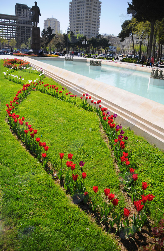 Gül-çiçəkli Bakı - FOTOSESSİYA