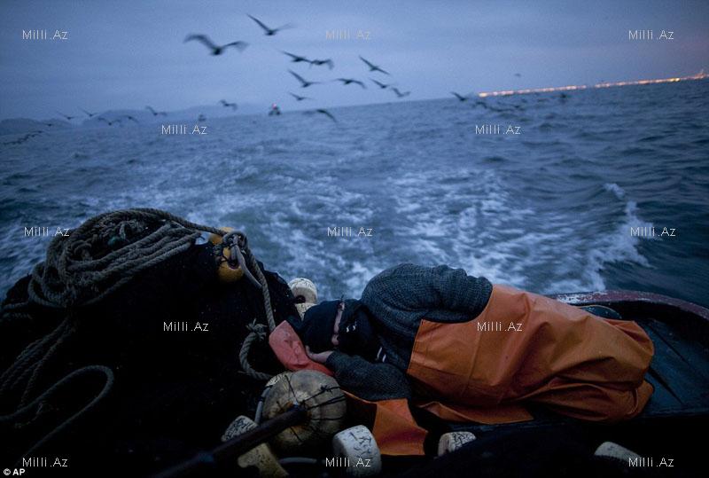 Qoca, dəniz və... - FOTOSESSİYA