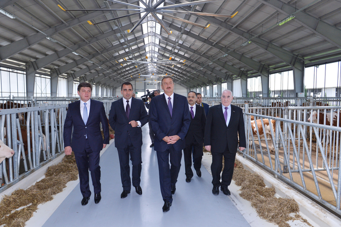 Prezident İlham Əliyev: "Biz bütün dövrlərdə, müstəqilliyin son 20 ili ərzində inamla irəliyə gedirik, öz gücümüzü artırırıq, iqtisadiyyatımızı gücləndiririk" - YENİLƏNİB - FOTO