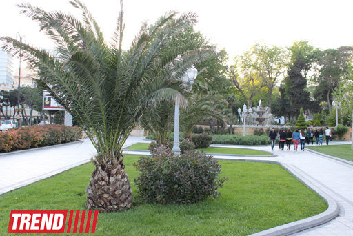 Bakının incisi: Filarmoniya bağı - FOTOSESSİYA
