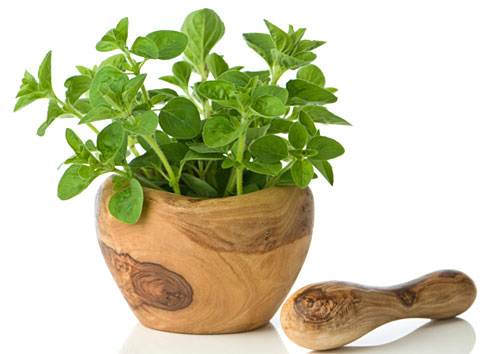 Mətbəx sirləri: Jiqo - FOTO