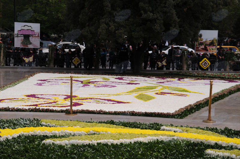 Bakıda Gül bayramı qeyd olunur – FOTOSESSİYA