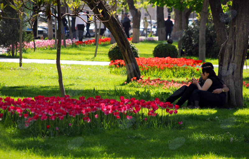 Gül-çiçəkli Bakı - FOTOSESSİYA