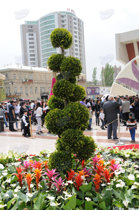 Bakıda Gül bayramı qeyd olunur – FOTOSESSİYA