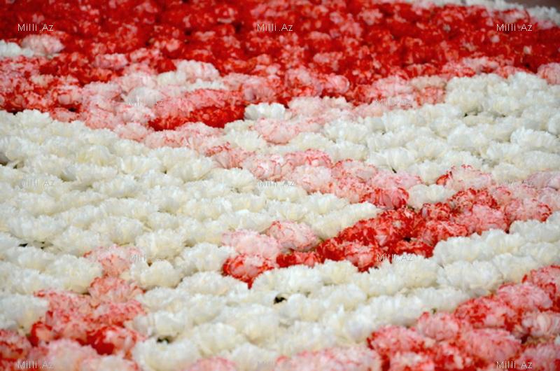 Qeyri-adi şəkillər - FOTO