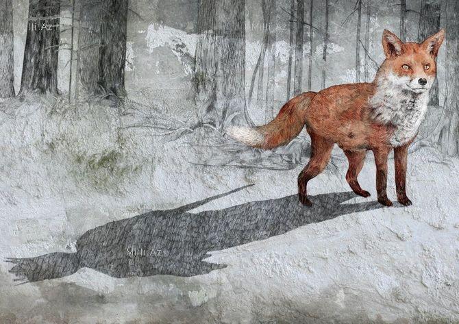 Göz vuran ayı və saqqallı meymun - FOTO