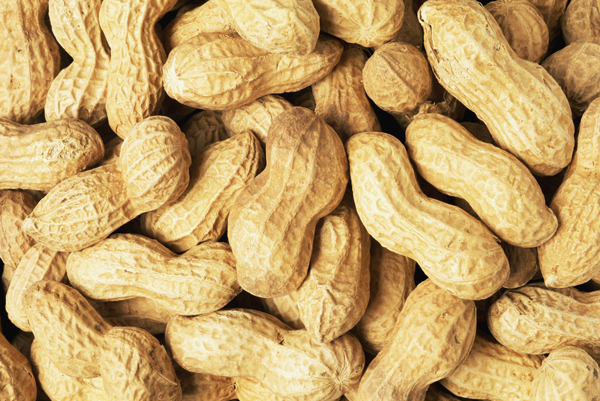 Mətbəx sirləri: Narşərablı yerfıstığı şorbası