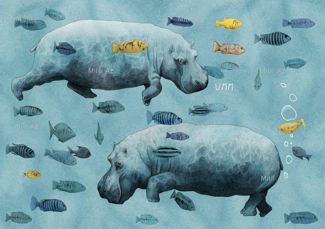 Göz vuran ayı və saqqallı meymun - FOTO