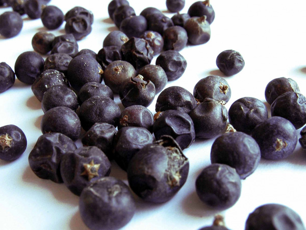 Mətbəx sirləri: Jiqo - FOTO