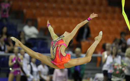 Azərbaycanlı gimnast beş bürünc medal qazanıb - FOTO