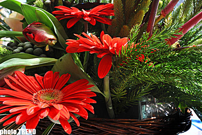 Xanımlar, bayramınız mübarək! - FOTO