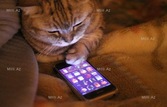 Onlar bizə bənzəyir? - FOTOSESSİYA