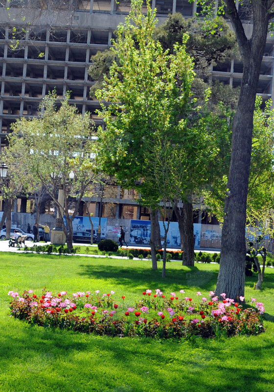 Gül-çiçəkli Bakı - FOTOSESSİYA