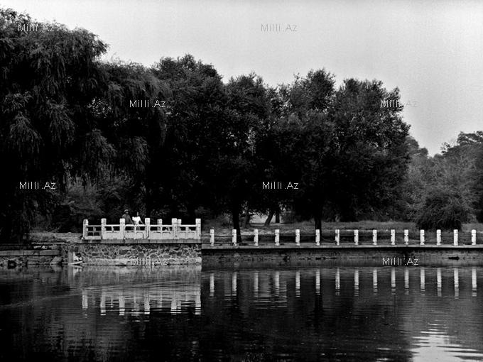 Melanxolik şəkillər - FOTO