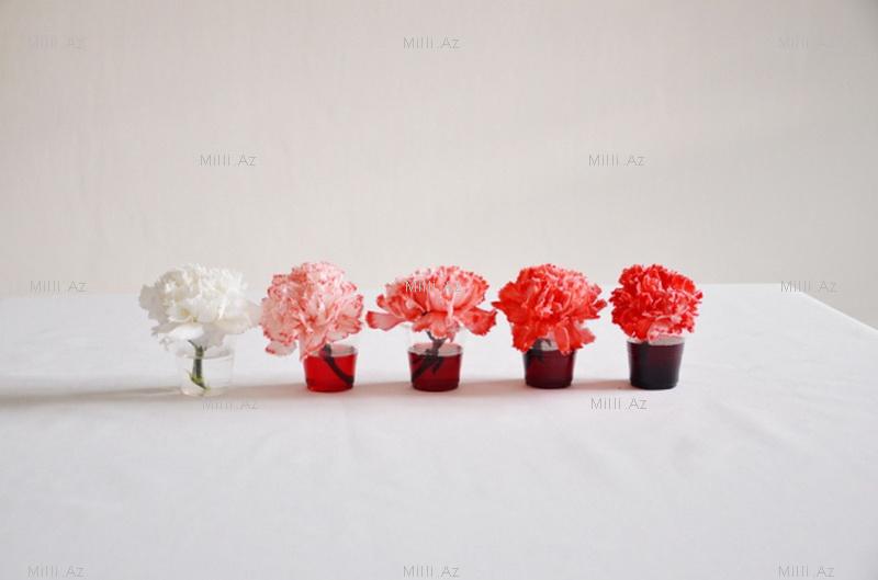 Qeyri-adi şəkillər - FOTO