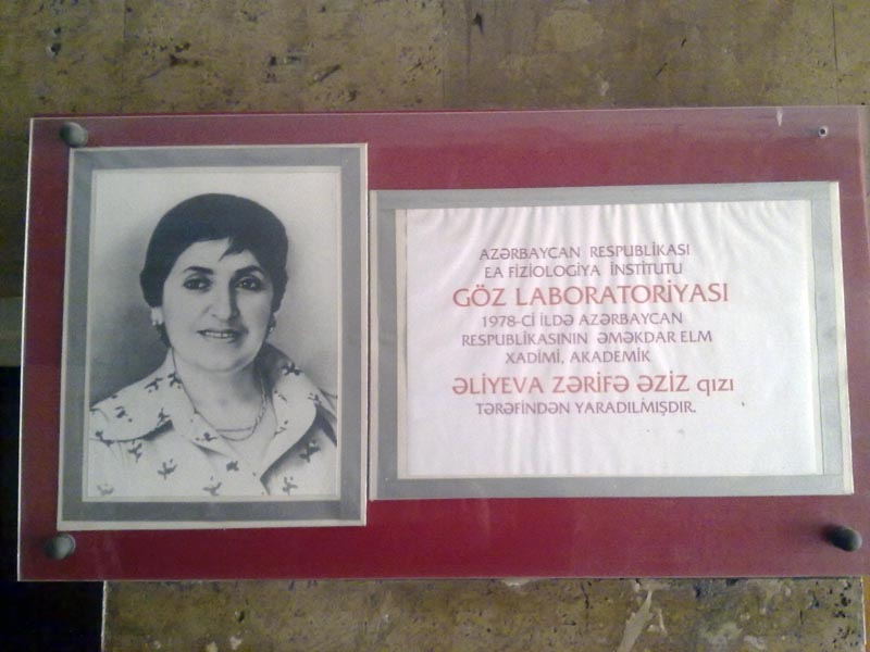 XX əsr Azərbaycan tarixinin görkəmli simalarından sayılan Zərifə xanım Əliyevanın anadan olmasından 88 il keçir