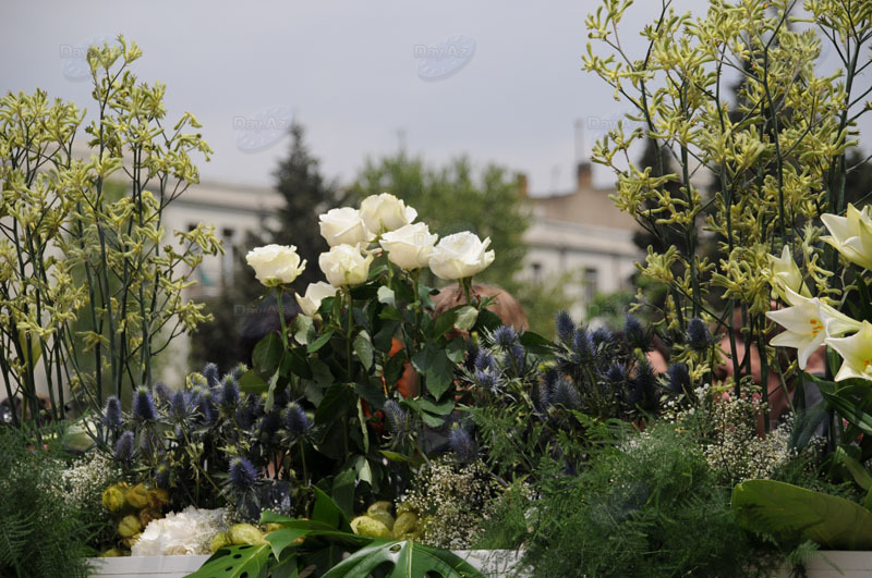Bakıda Gül bayramı qeyd olunur – FOTOSESSİYA
