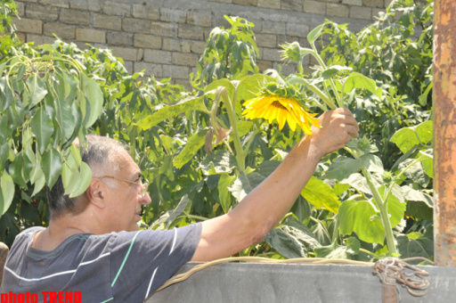 Samuray papağı, meyvəli bağ və ya müğənni Murad Sadıxın rəngarəng yay istirahəti - FOTOSESSİYA