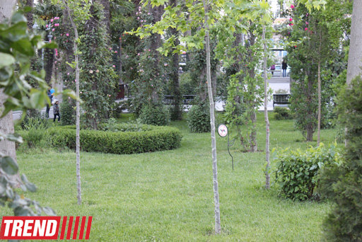 Bakının incisi: Filarmoniya bağı - FOTOSESSİYA