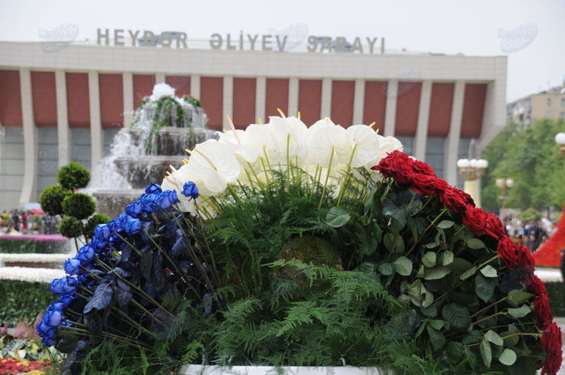 Bakıda Gül bayramı qeyd olunur – FOTOSESSİYA