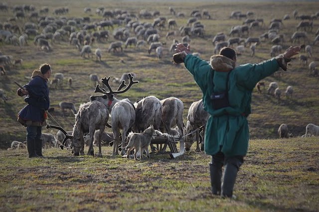 Maral və maralları saxlayanlar - FOTOSESSİYA