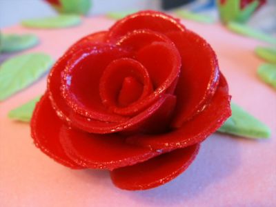 Günün təamı - şəkərli salfet və tort üçün güllər - FOTOSESSİYA