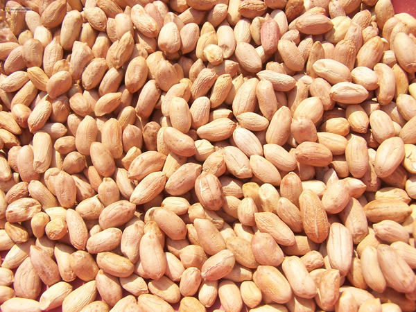 Mətbəx sirləri: Narşərablı yerfıstığı şorbası