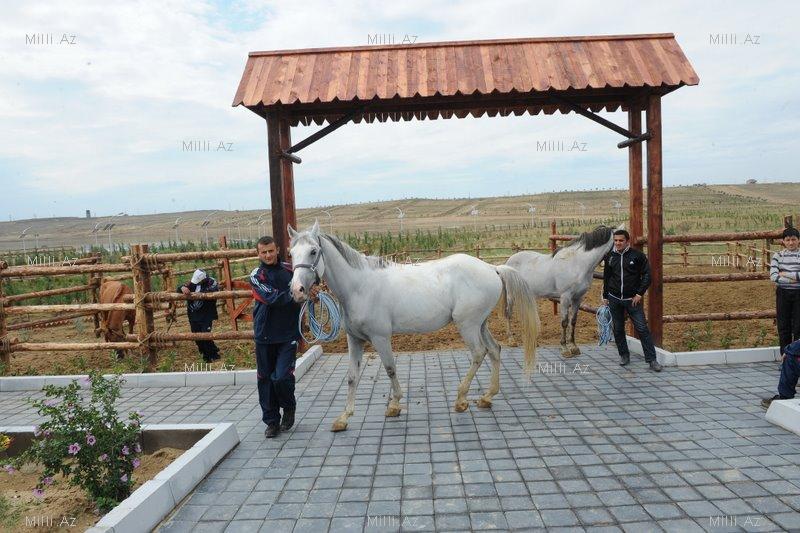 Qala Arxeoloji Etnoqrafik Muzey Kompleksi - FOTOSESSİYA