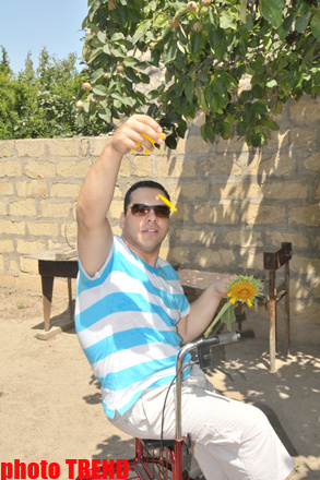 Samuray papağı, meyvəli bağ və ya müğənni Murad Sadıxın rəngarəng yay istirahəti - FOTOSESSİYA