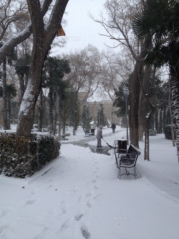 Bakıya güclü qar yağır - YENİLƏNİB - VİDEO - FOTOSESSİYA