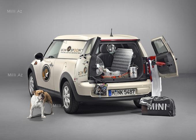 Mini, amma maksi - FOTO
