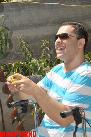 Samuray papağı, meyvəli bağ və ya müğənni Murad Sadıxın rəngarəng yay istirahəti - FOTOSESSİYA