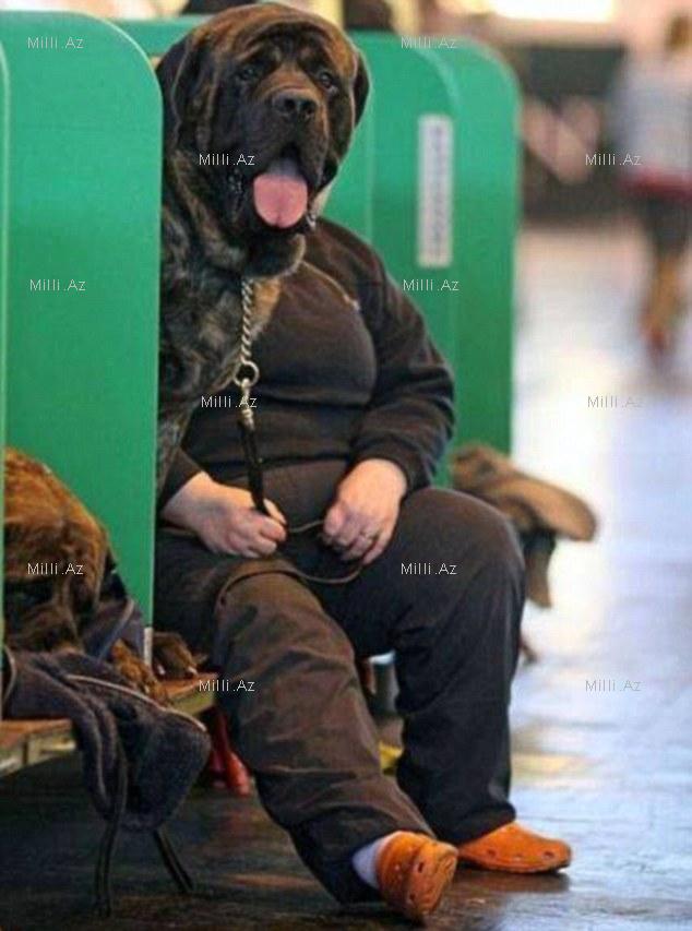 Onlar bizə bənzəyir? - FOTOSESSİYA