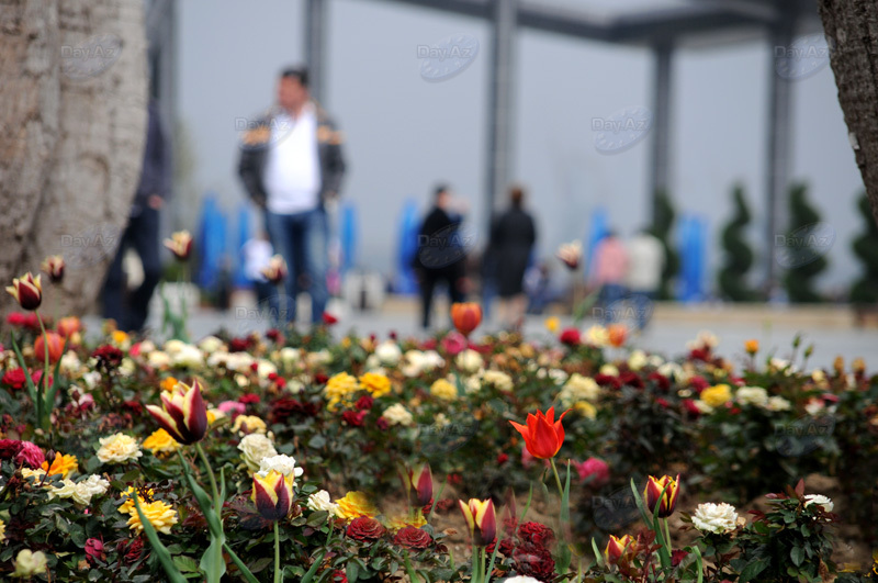 Gül-çiçəkli Bakı - FOTOSESSİYA