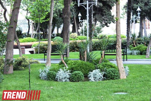 Bakının incisi: Filarmoniya bağı - FOTOSESSİYA