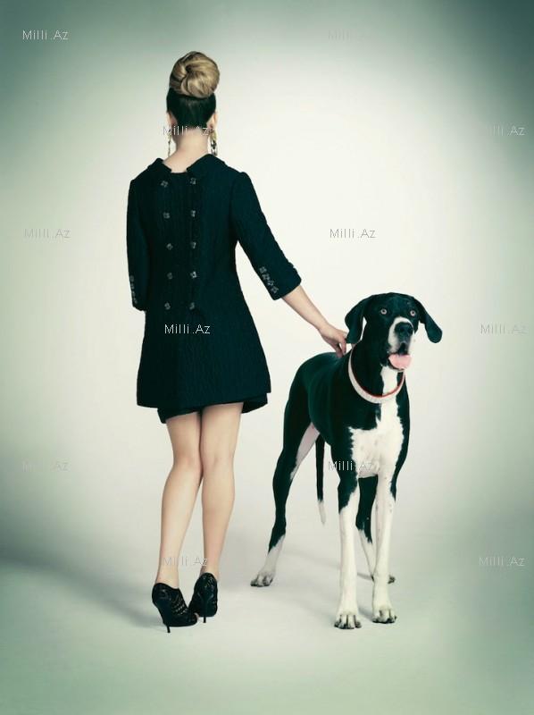 İtlərlə çəkilmiş moda şəkilləri - FOTOSESSİYA