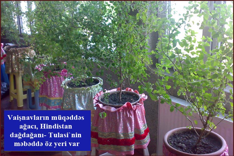 Krişnaçılarla bir gün: "Sehrli məbəd”də nələr gördük? - REPORTAJ - VİDEO - FOTO